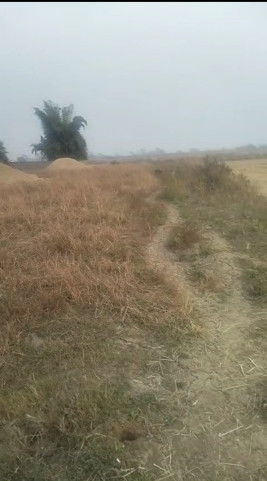 Additional image 3 of Boria Kalan, Raipur