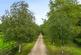Additional image 25 of Wildmoor, Sherfield-on-Loddon RG27