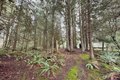 Additional image 27 of 202 W Emerald Forest Ln, Sequim, WA, 98382