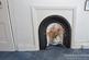 Additional image 26 of Molesworth Road, Plymouth PL3
