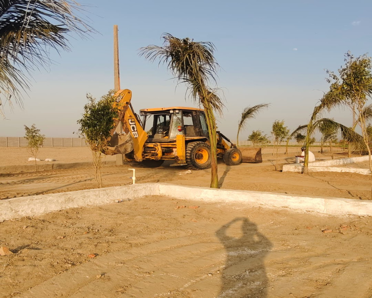 Manjhawali Village, Faridabad photo 3