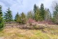 Additional image 33 of 202 W Emerald Forest Ln, Sequim, WA, 98382