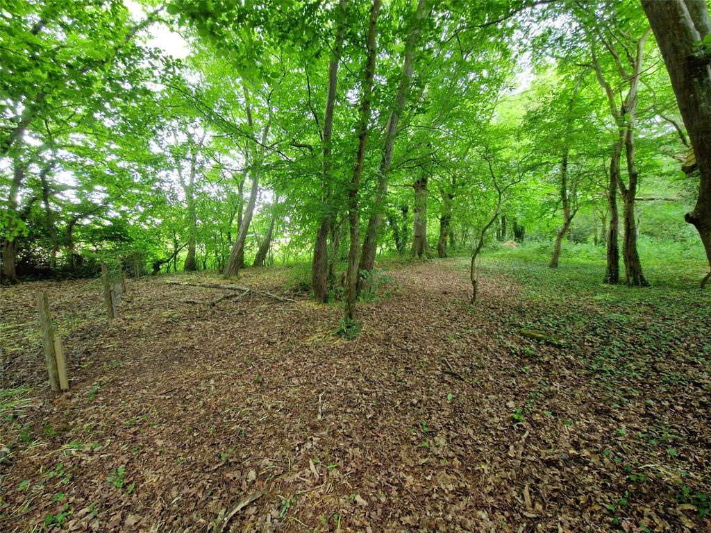 Additional image 12 of Land for saleChiddingly Road, Horam, Heathfield TN21