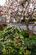 Additional image 16 of Hallgarth Road, Pontefract WF8