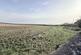 Additional image 44 of Craigrothie, Cupar, KY15