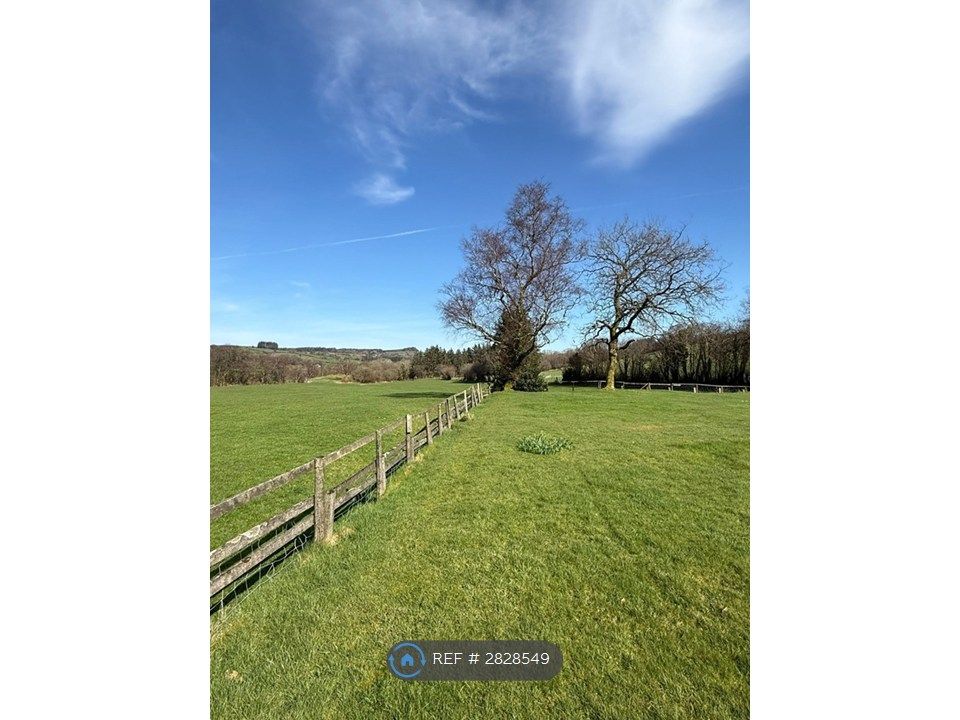 4 bed bungalow to rentCray, Brecon LD3 photo 4