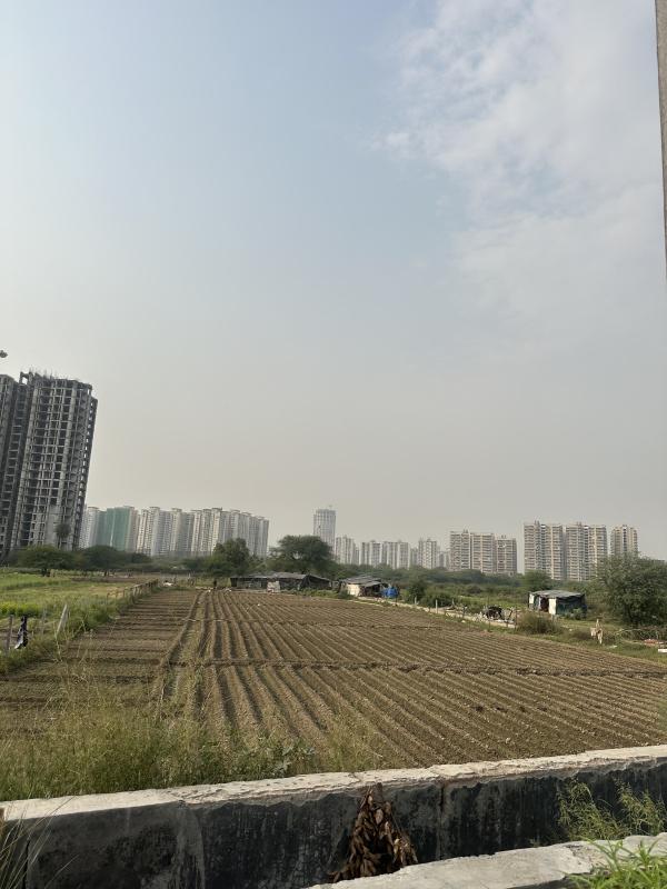 Sector 79, Noida