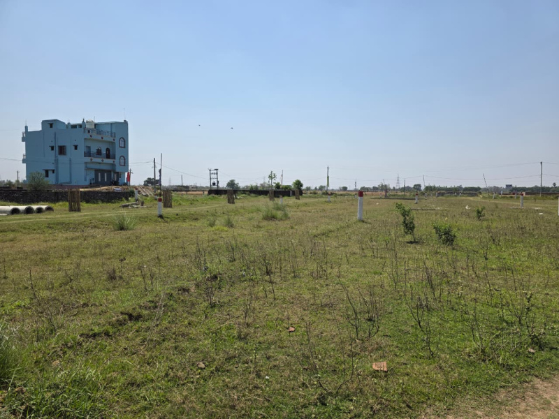 Additional image 3 of Chirora, Patna