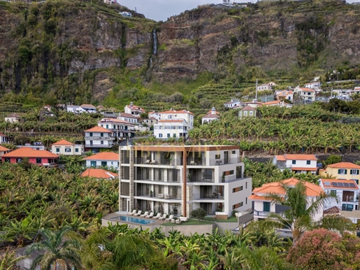 Additional image 3 of Ponta Do Sol (Ponta do Sol)