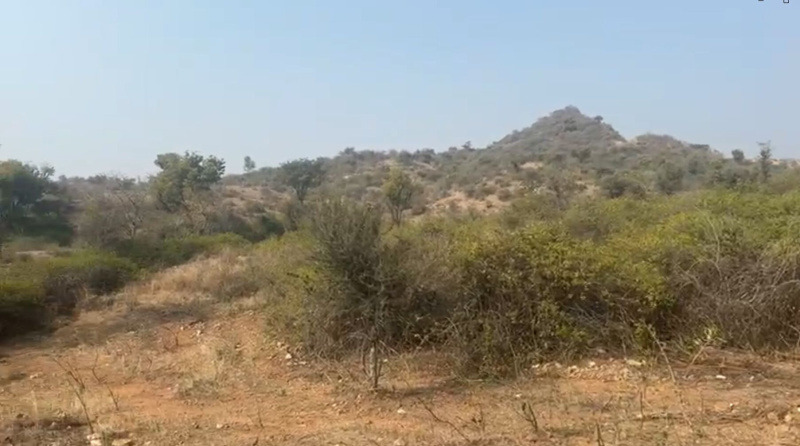 Additional image 3 of Nathdwara Road, Udaipur