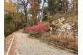 6 Duffys Bridge Rd, Katonah, NY, 10536 photo 4