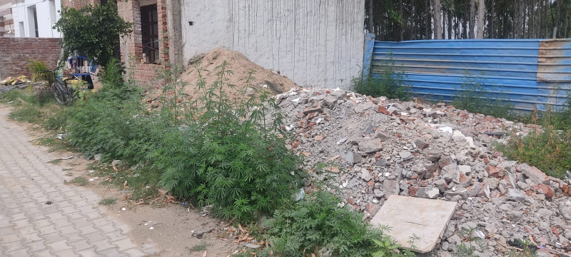 Additional image 3 of Zirakpur, Panchkula