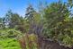 Additional image 23 of Bridgnorth WV15
