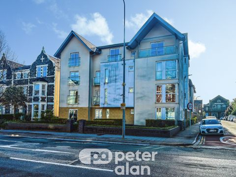 Central Court, Cardiff CF24, Studio to rent