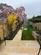 Additional image 17 of Swyncombe Avenue, London