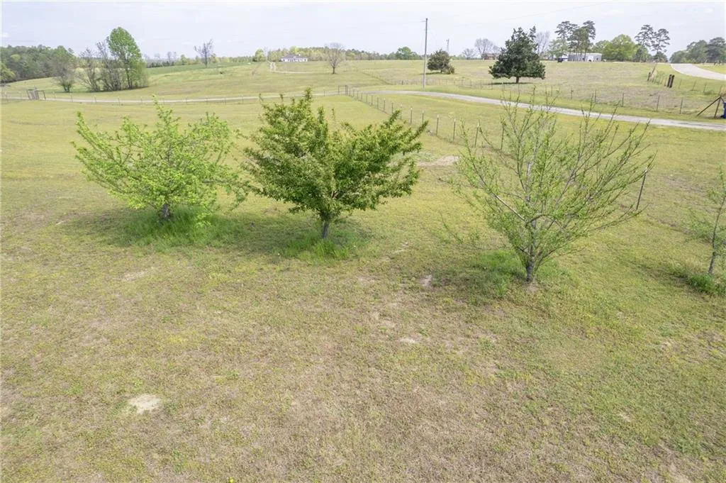 Additional image 9 of 1399 Lee Road 401, Opelika, AL 36804