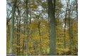 Additional image 6 of 84 N Edgewood Dr, Elkton, MD, 21921