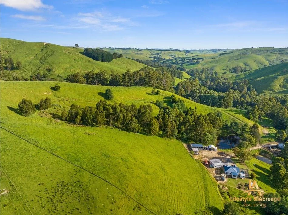 Additional image 14 of 1720 Wild Dog Valley Road, Strzelecki VIC 3950