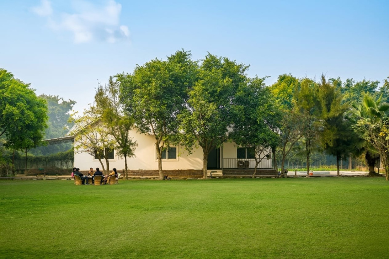Sector 135, Noida
