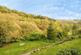 Additional image 19 of Two Waters Foot, Liskeard, Cornwall, PL14