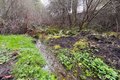 Additional image 26 of 202 W Emerald Forest Ln, Sequim, WA, 98382