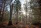 Additional image 20 of Collinswood Road, Farnham Common, SL2