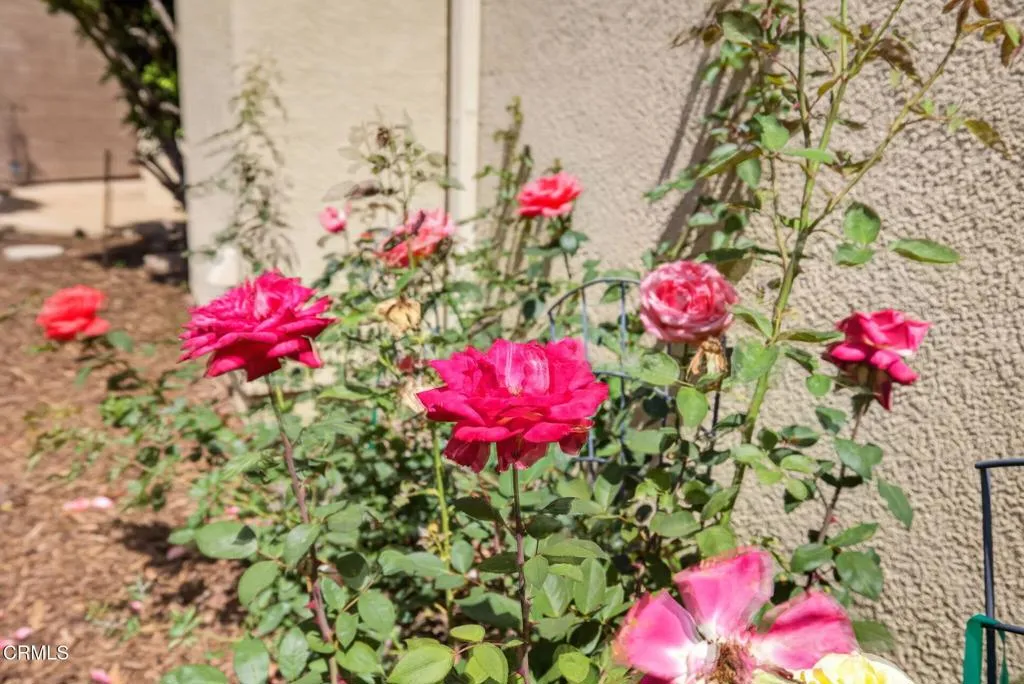 Additional image 48 of 1705 Via Pajaro, Camarillo, CA 93012