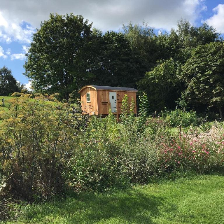 Additional image 23 of Glamping site. 5 acres, Edington, Westbury, BA13