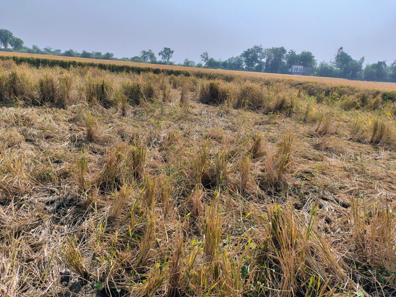 Additional image 3 of Jetalpur, Ahmedabad