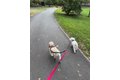 Additional image 24 of 382 Central Park W Apt 16U, New York, NY, 10025