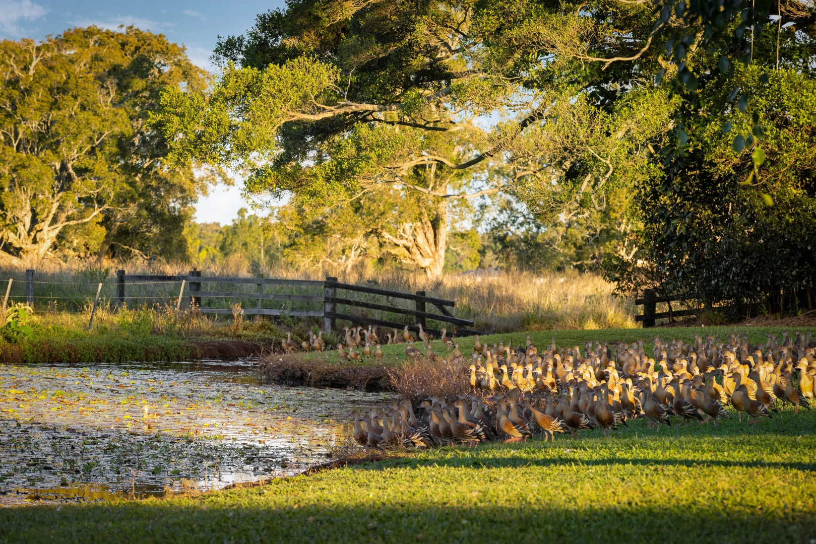 Additional image 33 of 246 Martins Lane, Knockrow NSW 2479