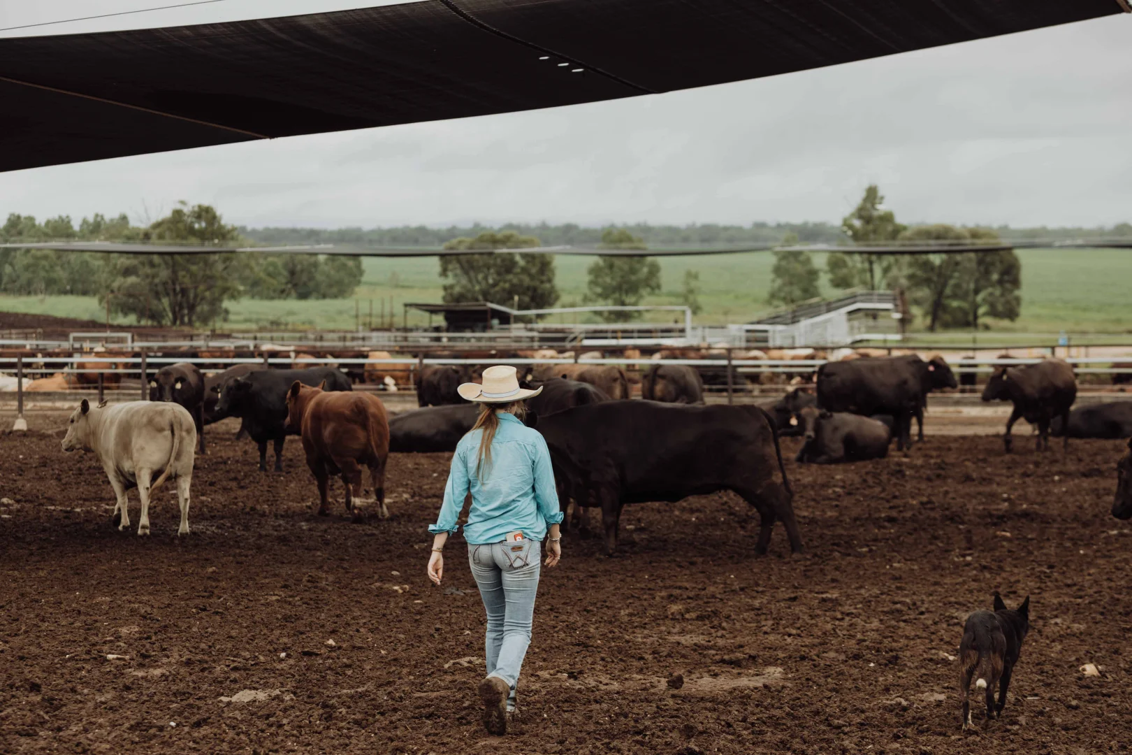 2687 Dawson Developmental Road, Springsure QLD 4722 photo 5