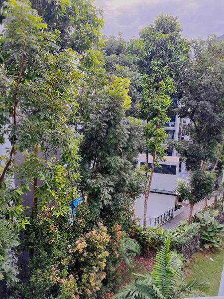 Additional image 14 of 69 Cavenagh Road