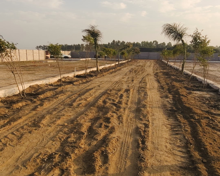 Manjhawali Village, Faridabad