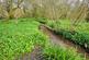 Additional image 4 of St. Keyne, Cornwall PL14