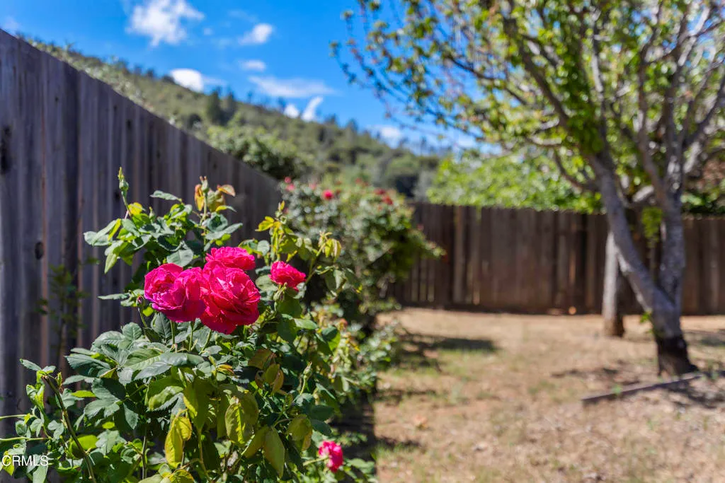Additional image 60 of 7539 Evergreen Drive, Kelseyville, CA 95451