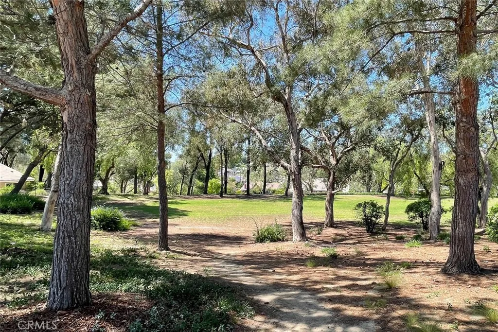 Additional image 115 of 21159 Via Noriega, Yorba Linda, CA 92887