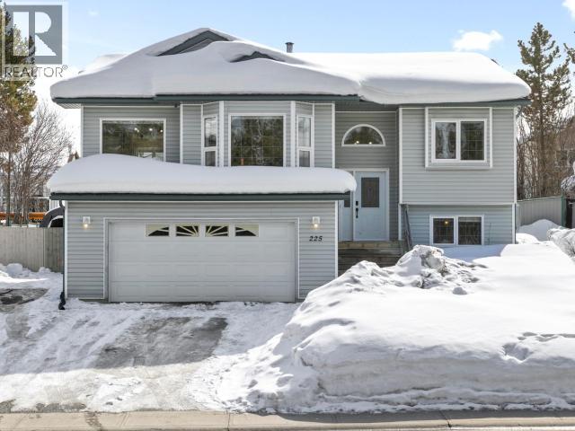 225 FALCON DRIVE