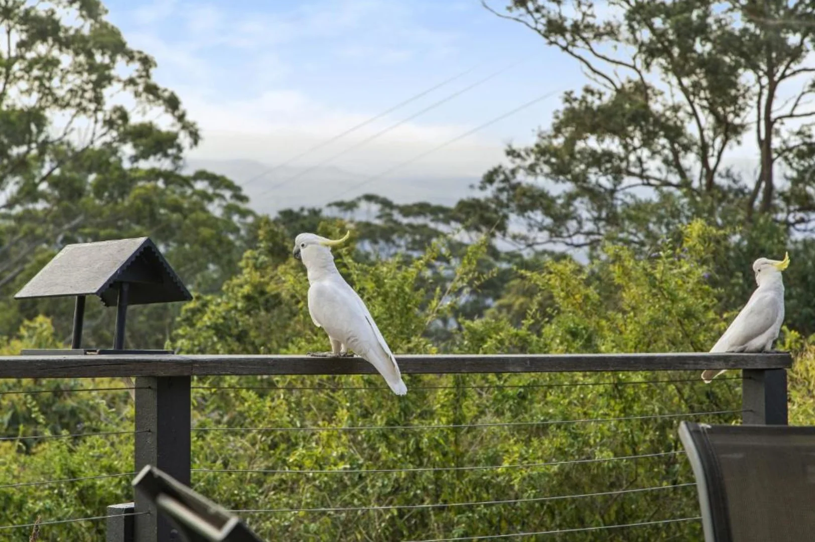 Additional image 18 of 210-220 Macdonnell Road, Tamborine Mountain QLD 4272