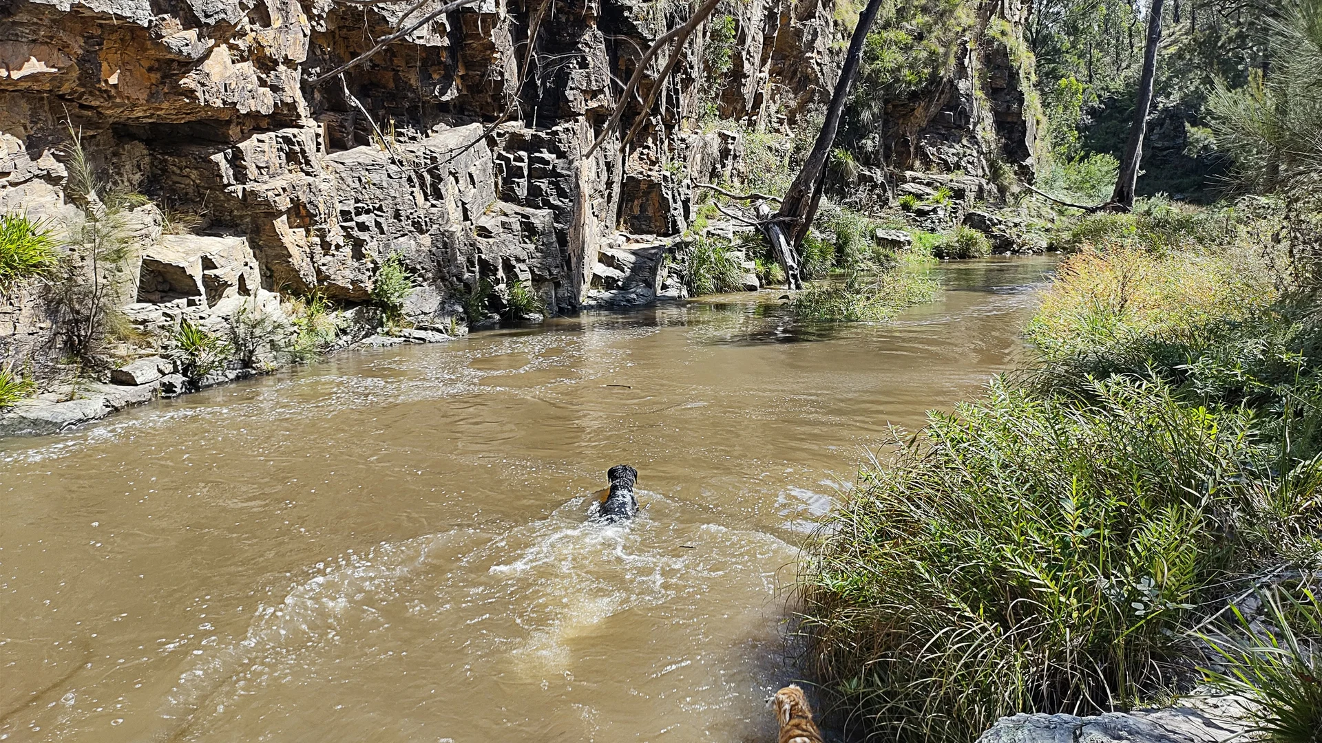 Additional image 3 of 307 Blomfield Road, Yarrowitch NSW 2354