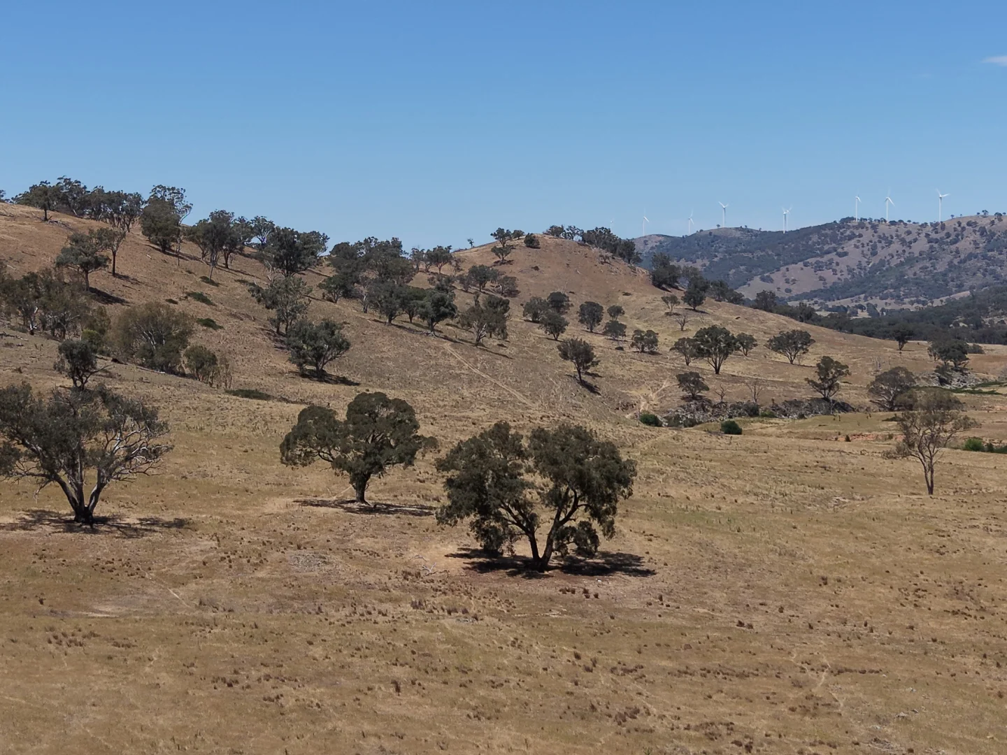 Additional image 8 of Part 2336 Crudine Road, Crudine NSW 2795