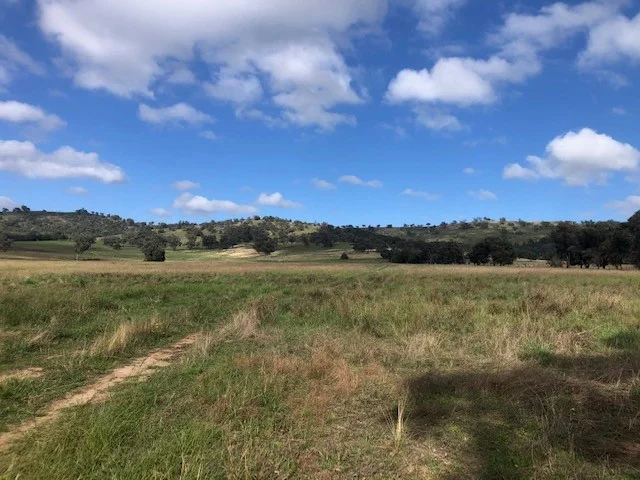 9, 1 Evers Lane, Cootamundra NSW 2590