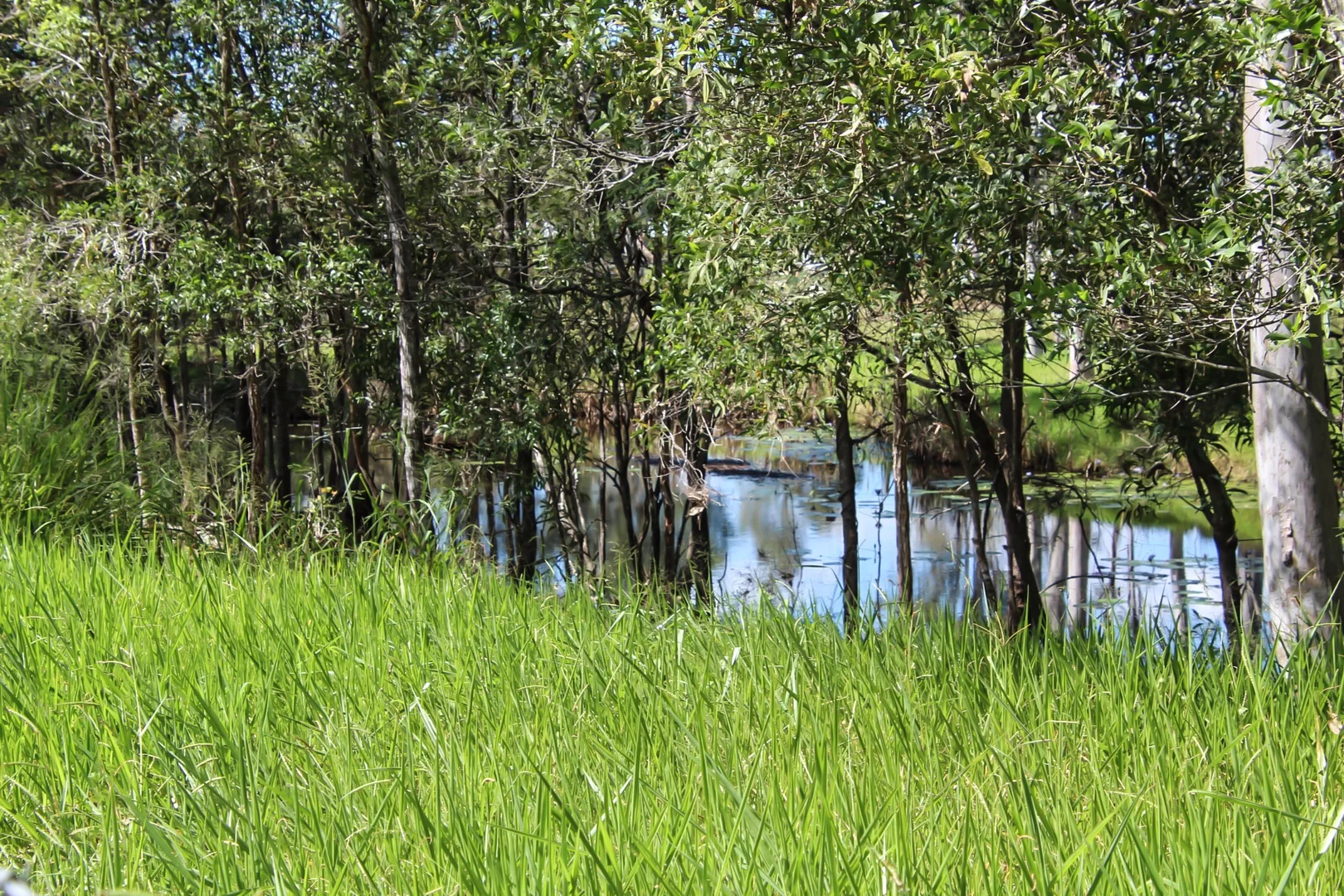 Additional image 12 of 457 Teddington Road, Tinana South QLD 4650