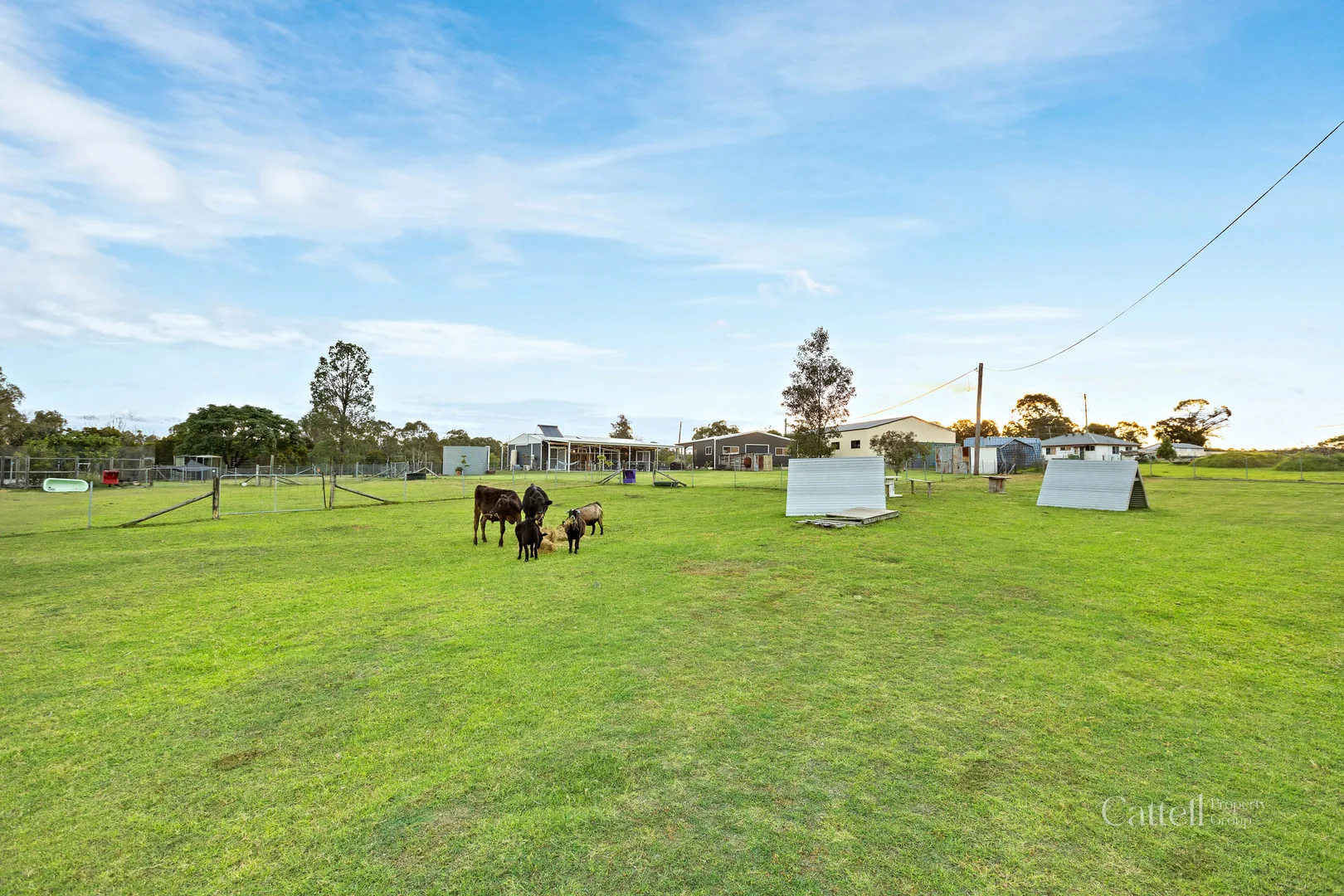 Additional image 55 of 3 York Street, Abermain NSW 2326