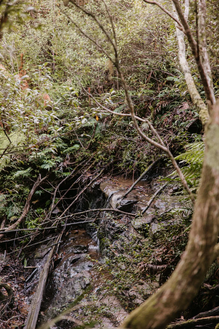 Additional image 6 of PID 6753927 Hop Valley Road, Blackwood Creek TAS 7301