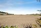 Additional image 4 of Ramsey Road, Benwick, March