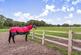 Additional image 15 of Kirton NOTTINGHAMSHIRE