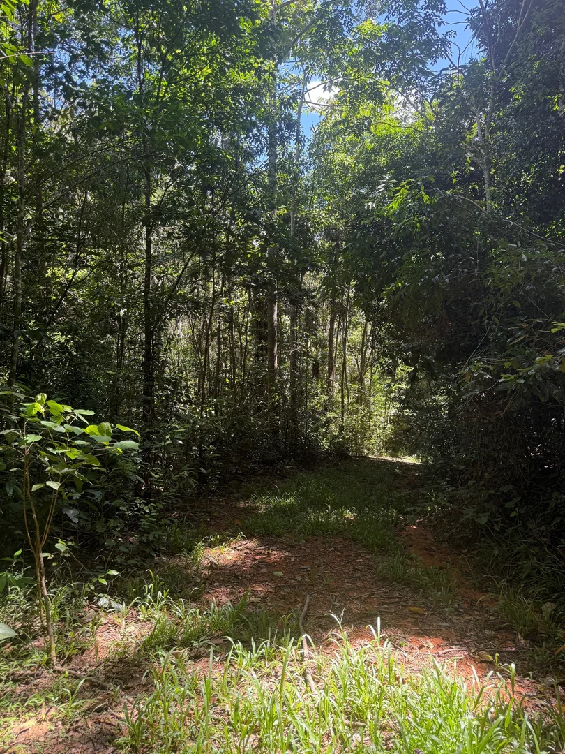 Additional image 4 of 48 Sanctuary Close, Speewah QLD 4881