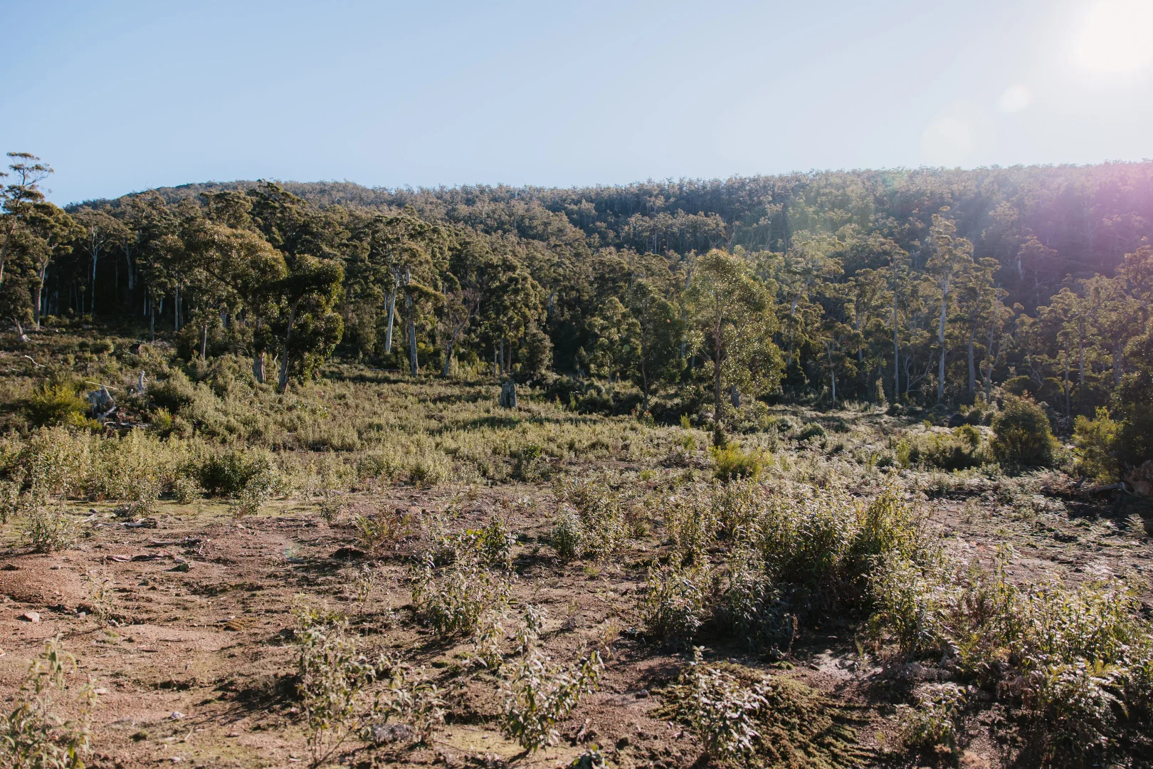 Additional image 3 of PID 6753927 Hop Valley Road, Blackwood Creek TAS 7301