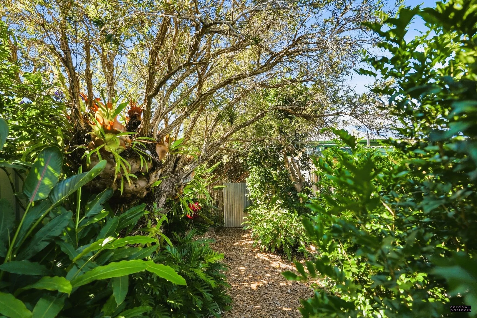 Additional image 18 of 7 Lourdes Avenue, Urunga NSW 2455